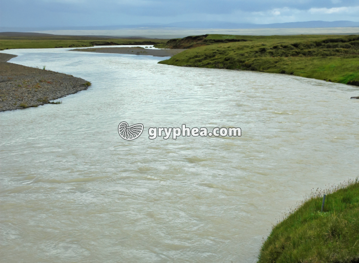 Transport de sédiments fins par une rivière (Islande) - gryphea.org